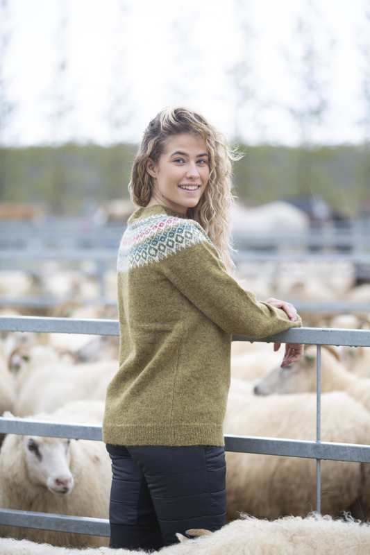 Fagradalsfjall Traditioneller Pullover aus isländischer Wolle