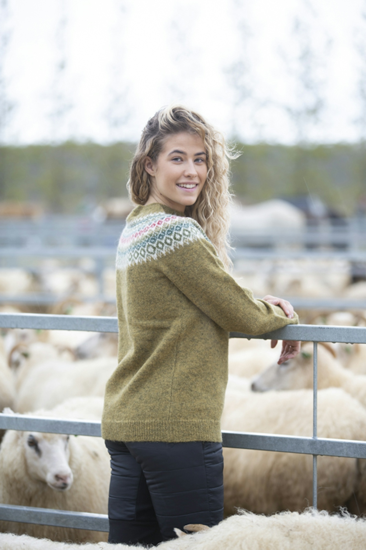 sheep-gathering-iceland-wool-sweater_7167.jpeg