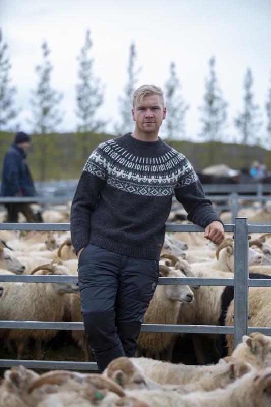 sheep-gathering-iceland-wool-sweater_7097.jpeg