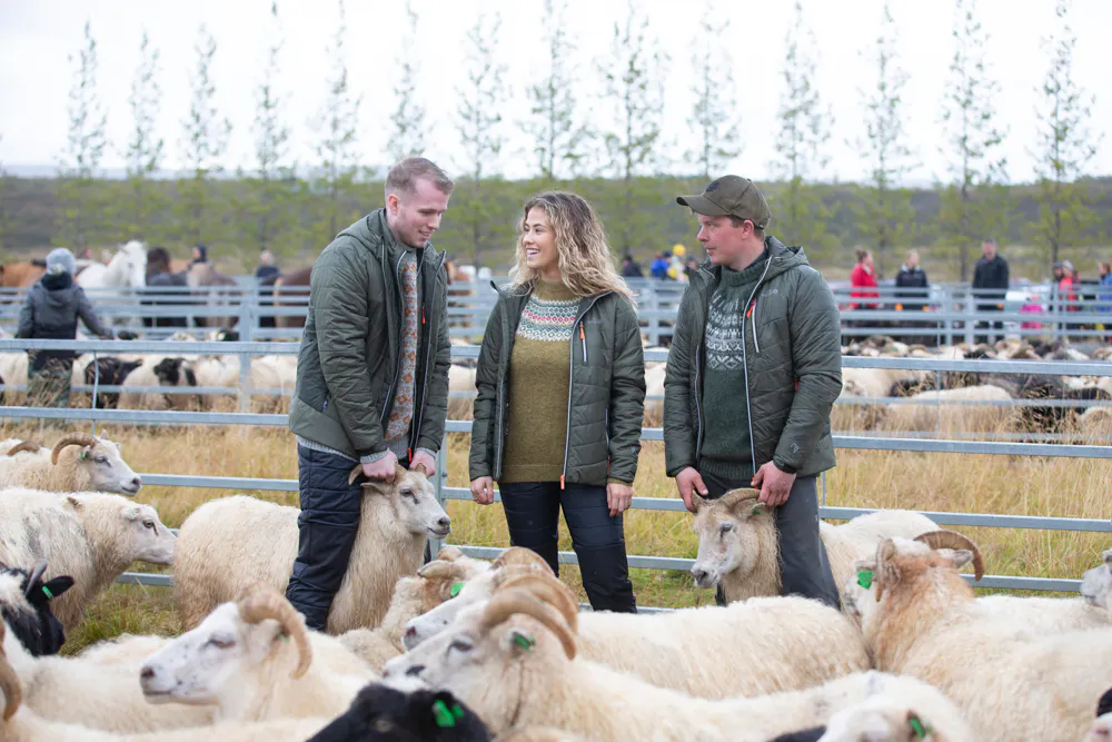people in Réttir in Iceland