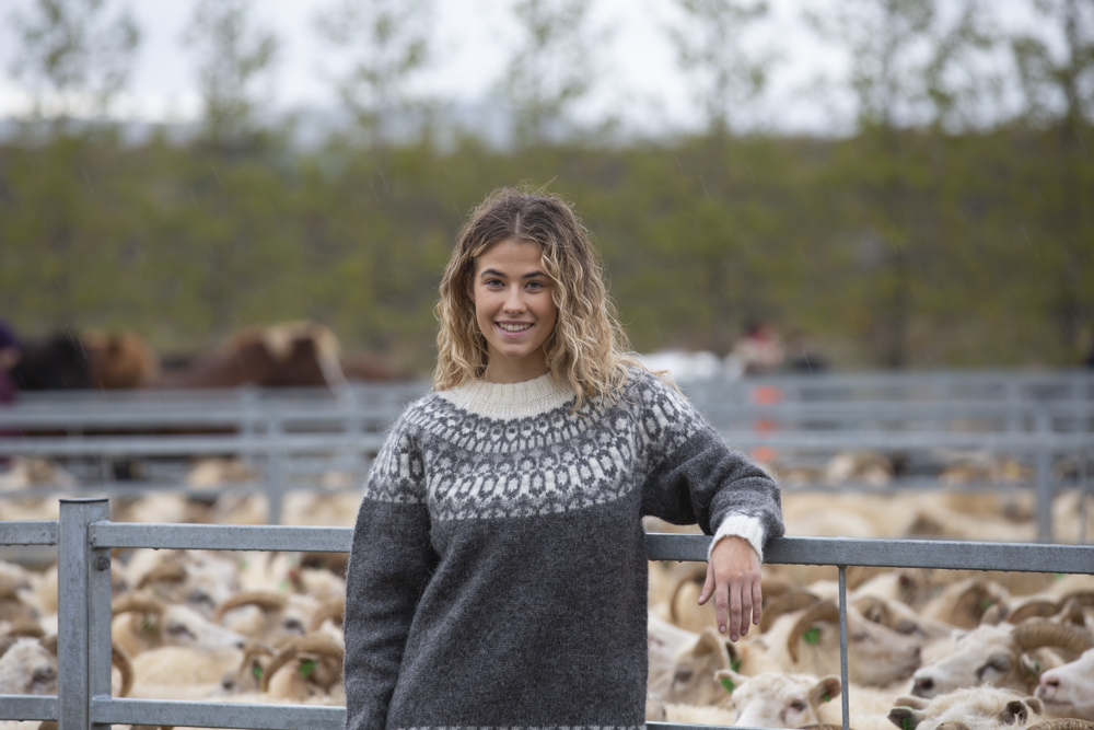 Fróði Icelandic Gemusterter Wollpullover