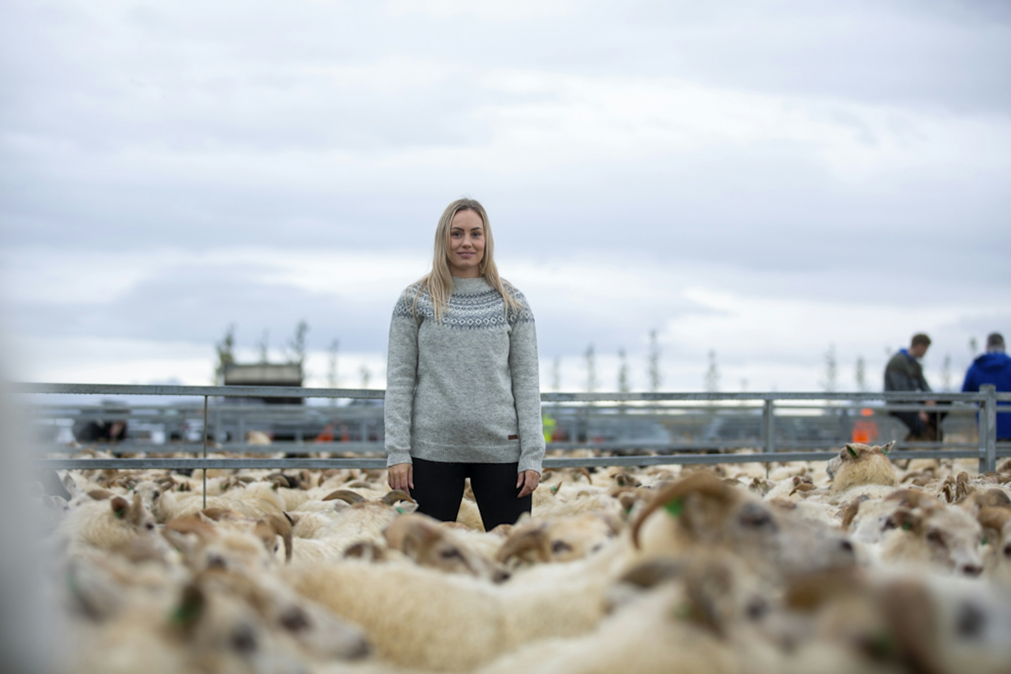 rettir-sheep-gathering-iceland-wool-sweater_6416.jpeg