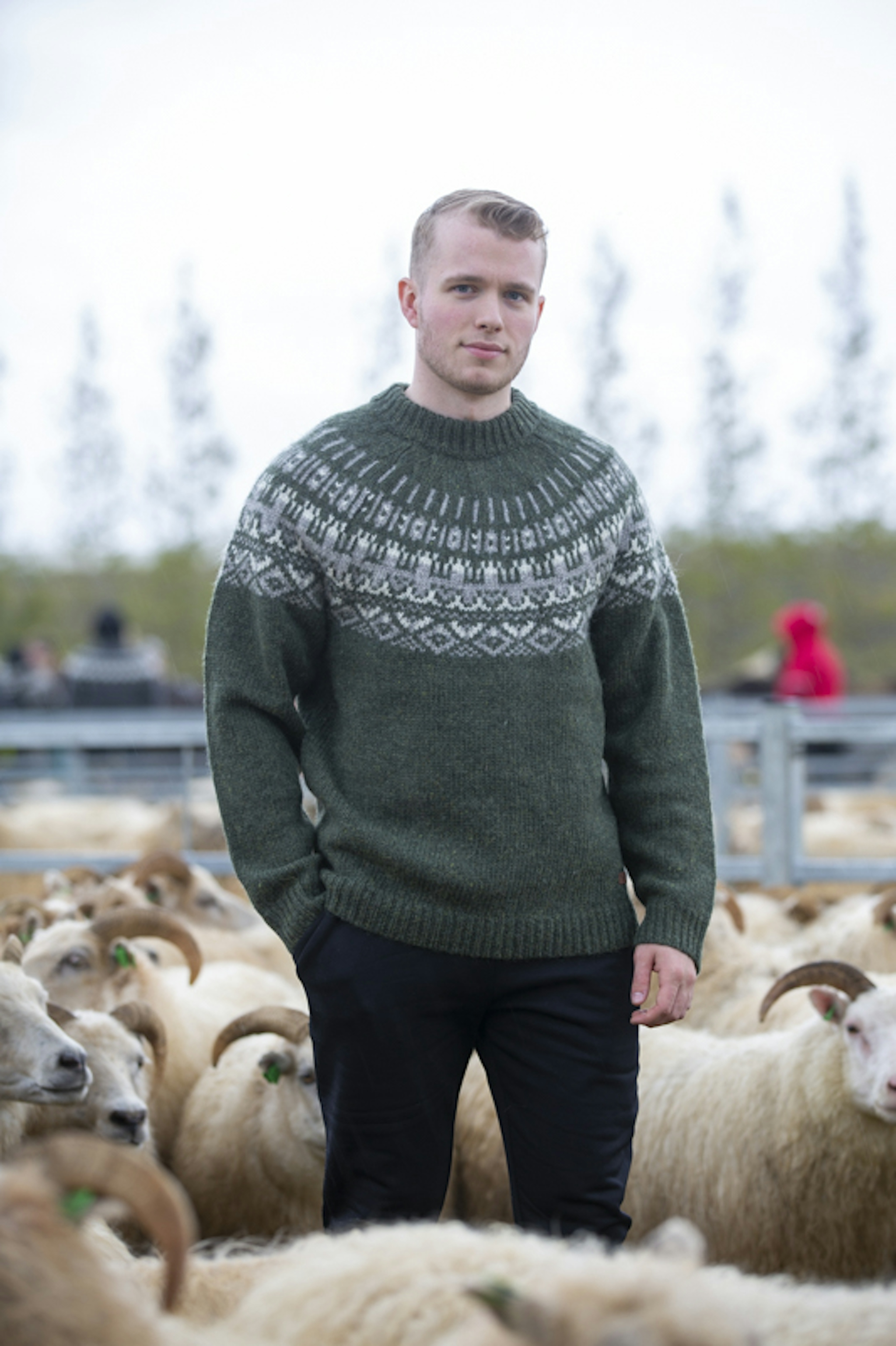 rettir-sheep-gathering-iceland-wool-sweater_6196.jpeg