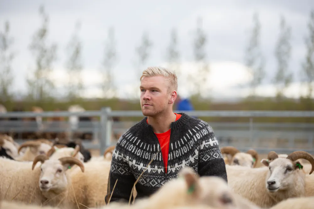 man in icelandic sweater with sheep