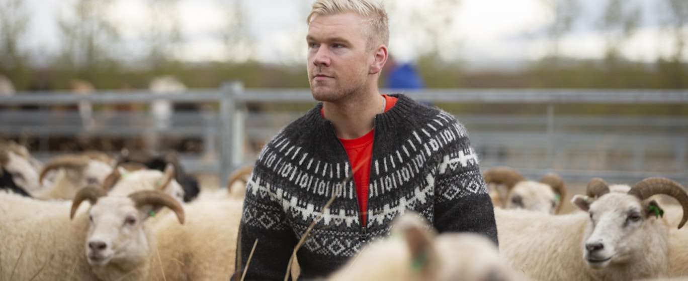 man in icelandic sweater with sheep