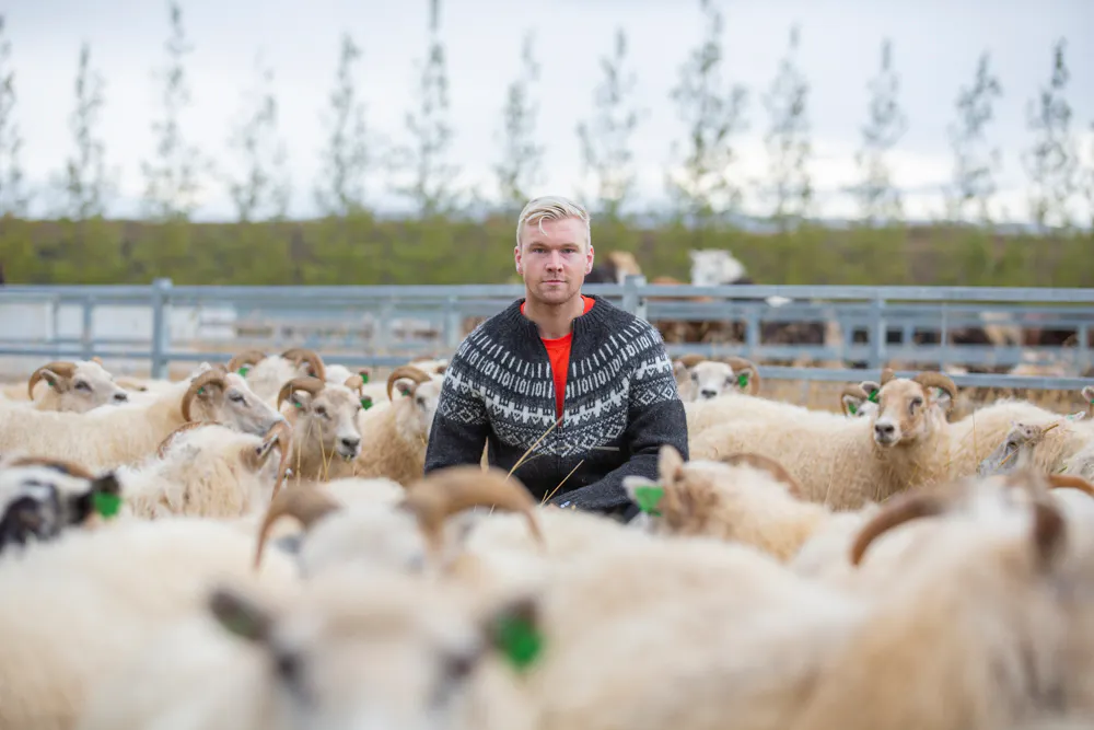 Ein Mann mit Schafen