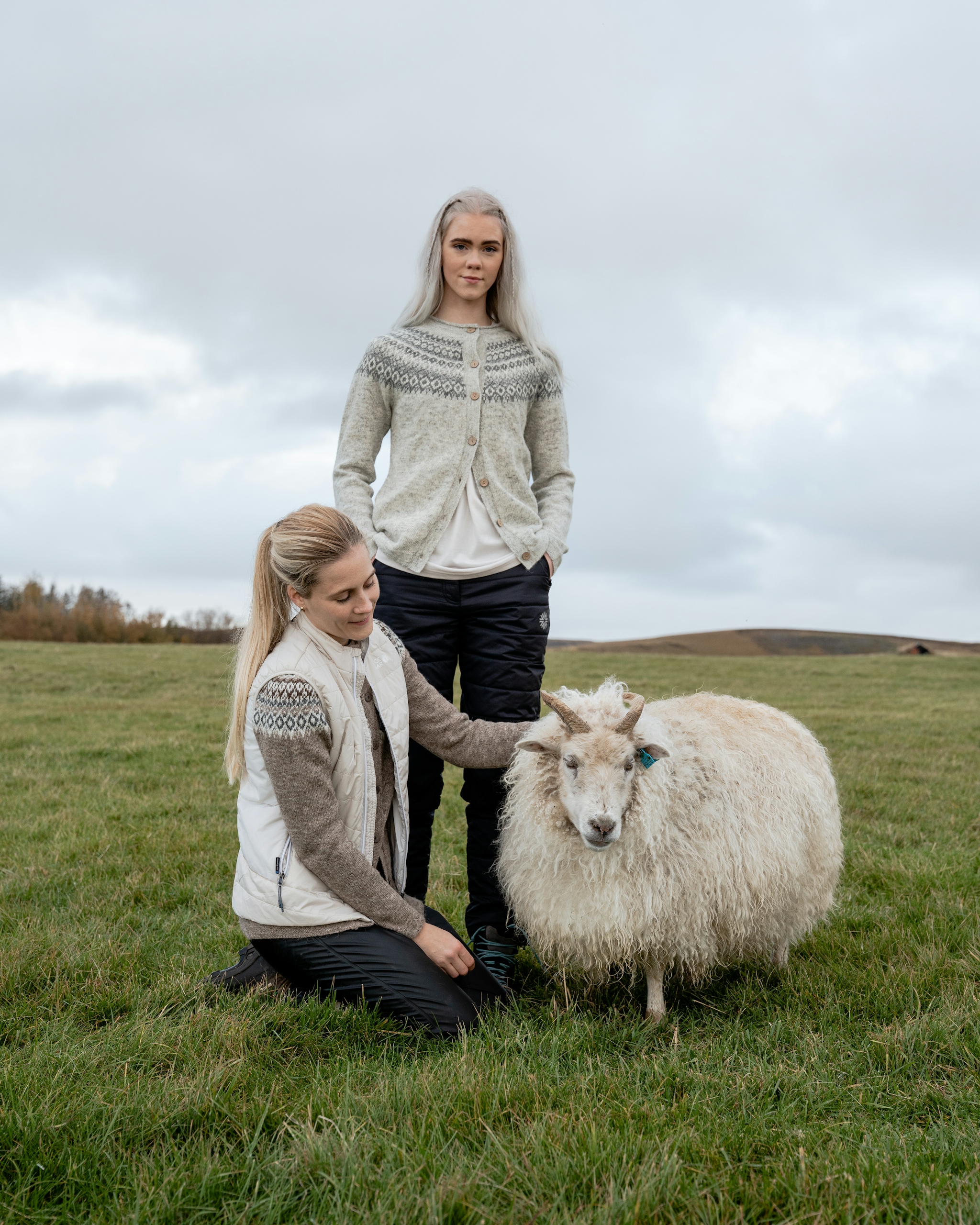 iceland-sheep-wool-sweater-grass_23.jpeg
