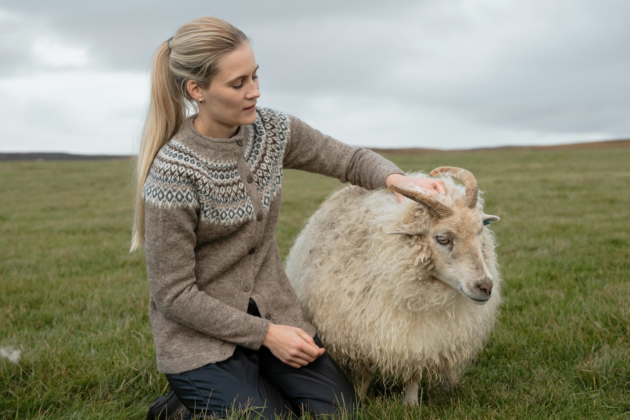 iceland-sheep-wool-sweater-grass_26.jpeg