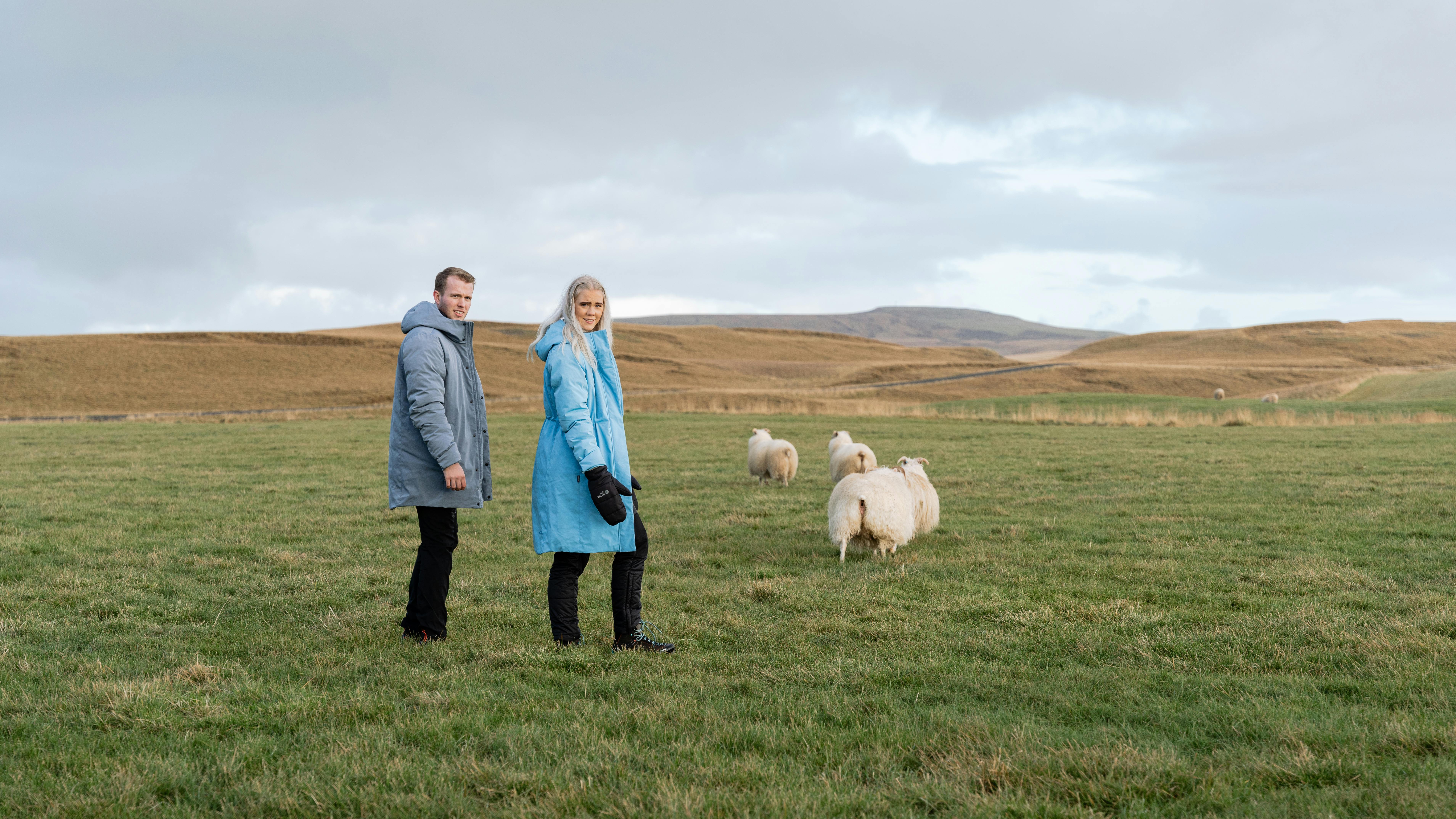 couple and sheep in the field