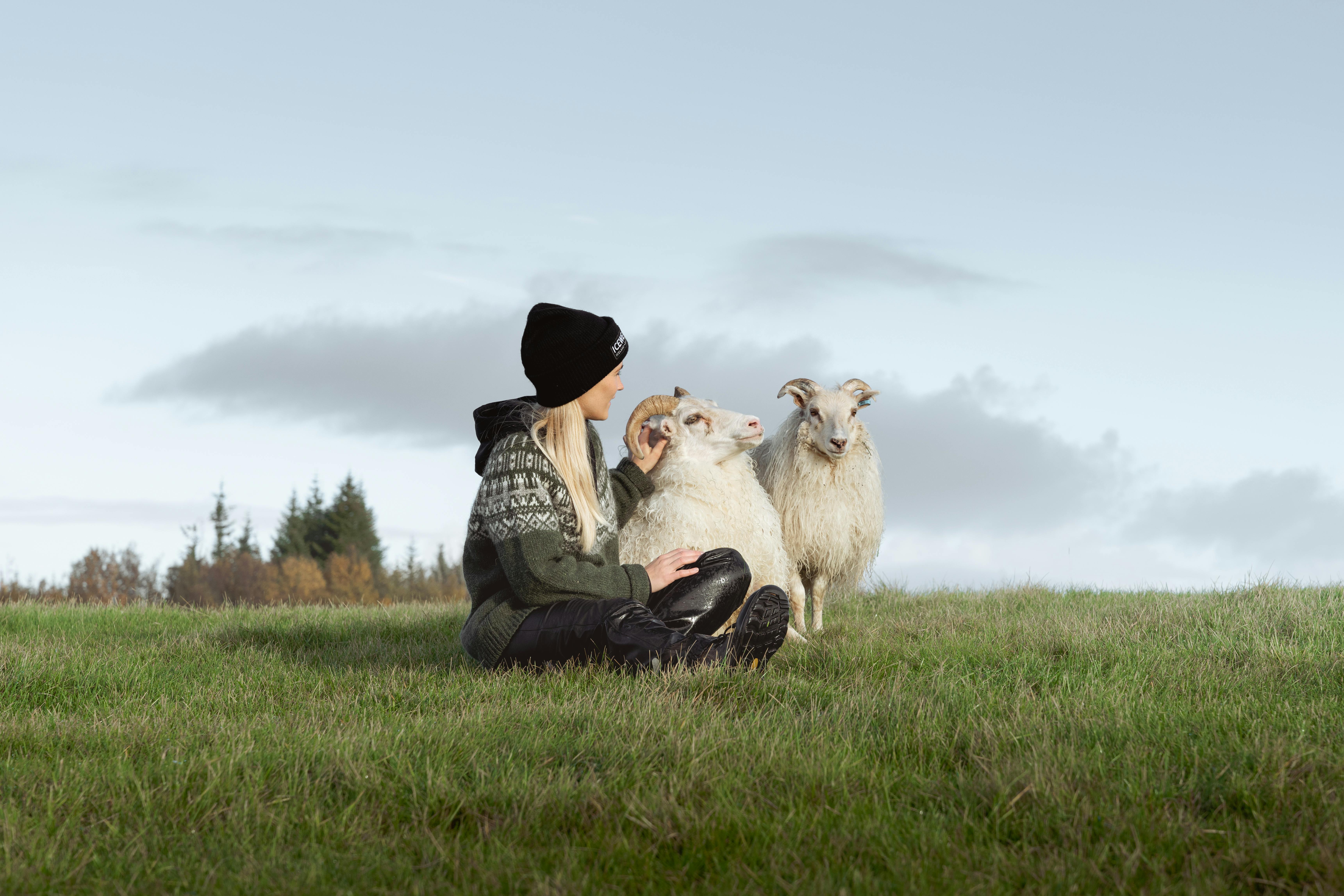 Woman petting a sheep in a field