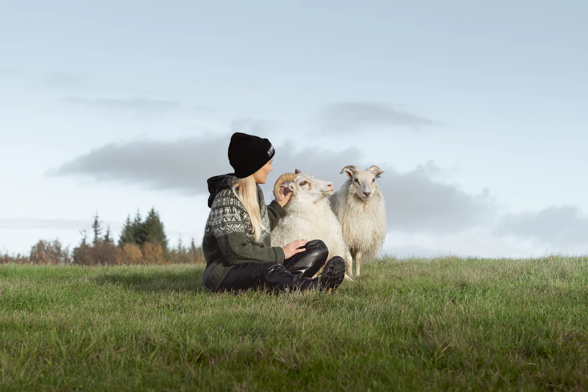 Woman petting a sheep in a field