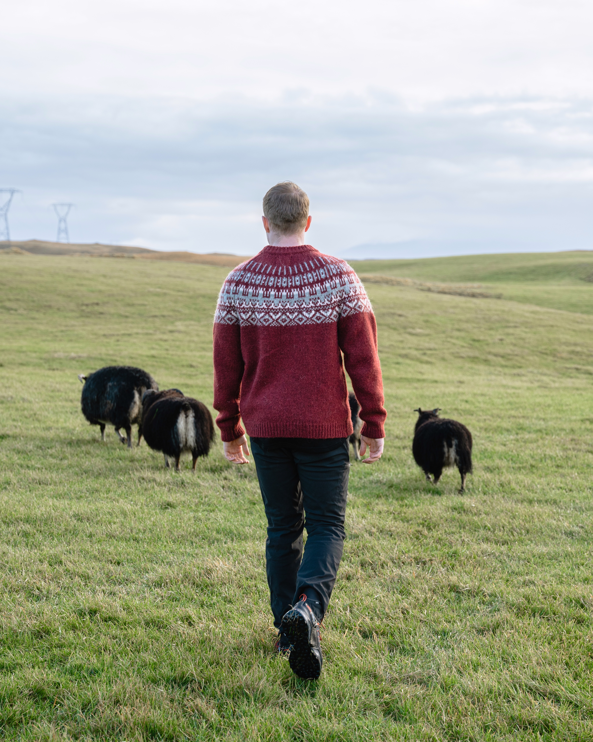 iceland-wool-sweater-man-sheep-grass_6.jpeg