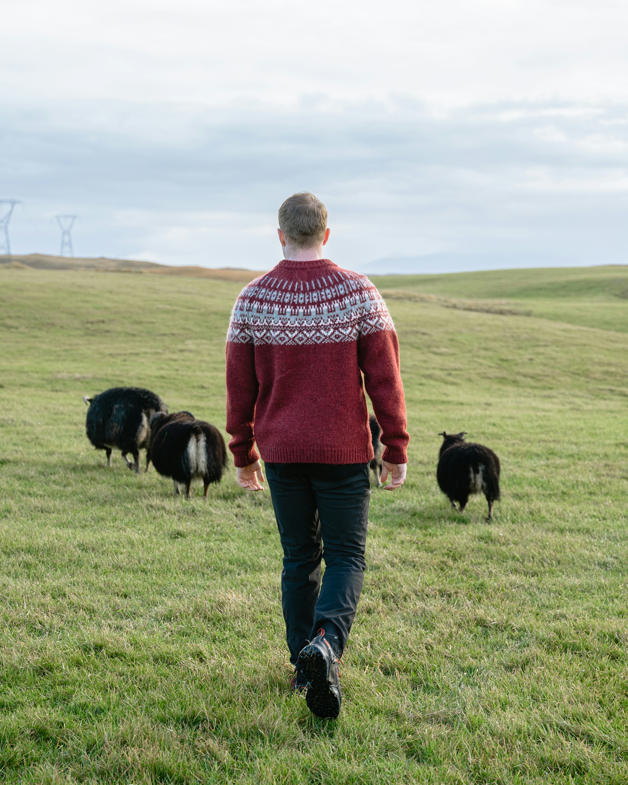 iceland-wool-sweater-man-sheep-grass_6.jpeg