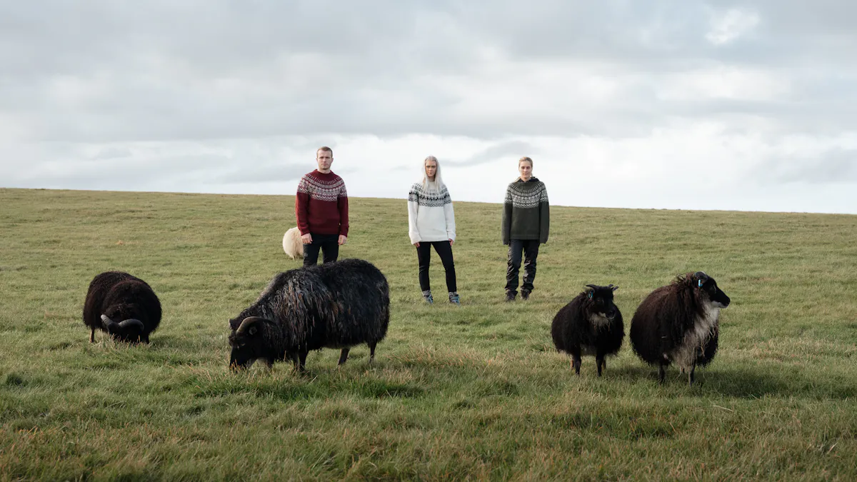 people and sheep on the field