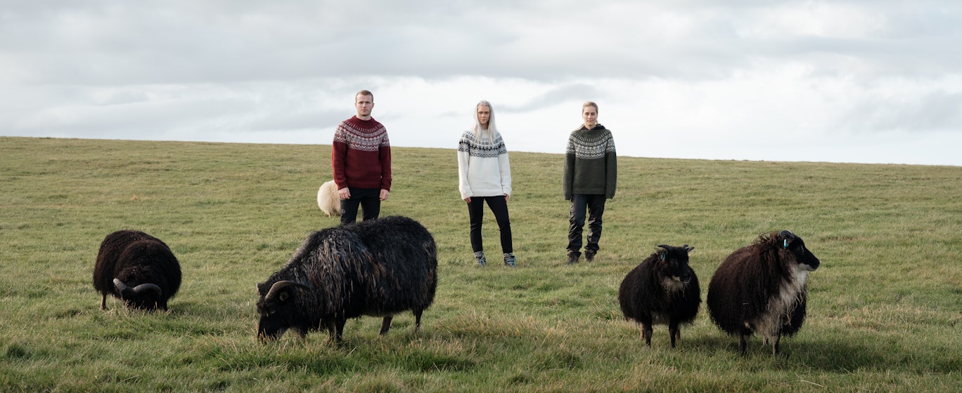 people and sheep on the field