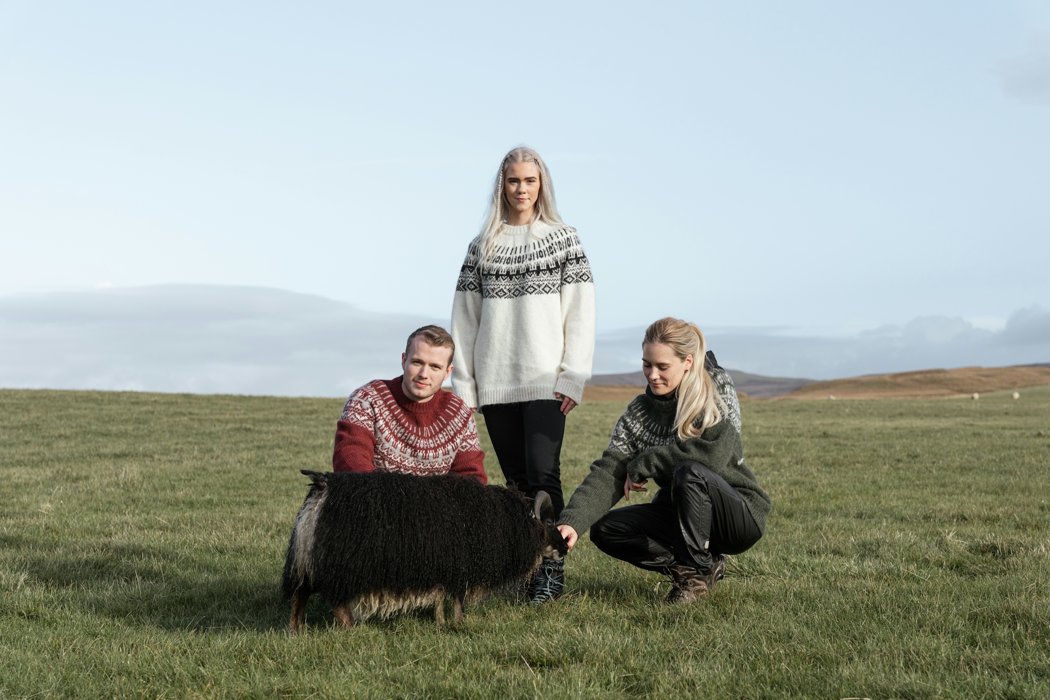 iceland-wool-sweater-women-sheep-grass_8.jpeg