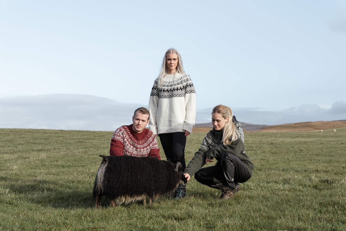 iceland-wool-sweater-women-sheep-grass_8.jpeg