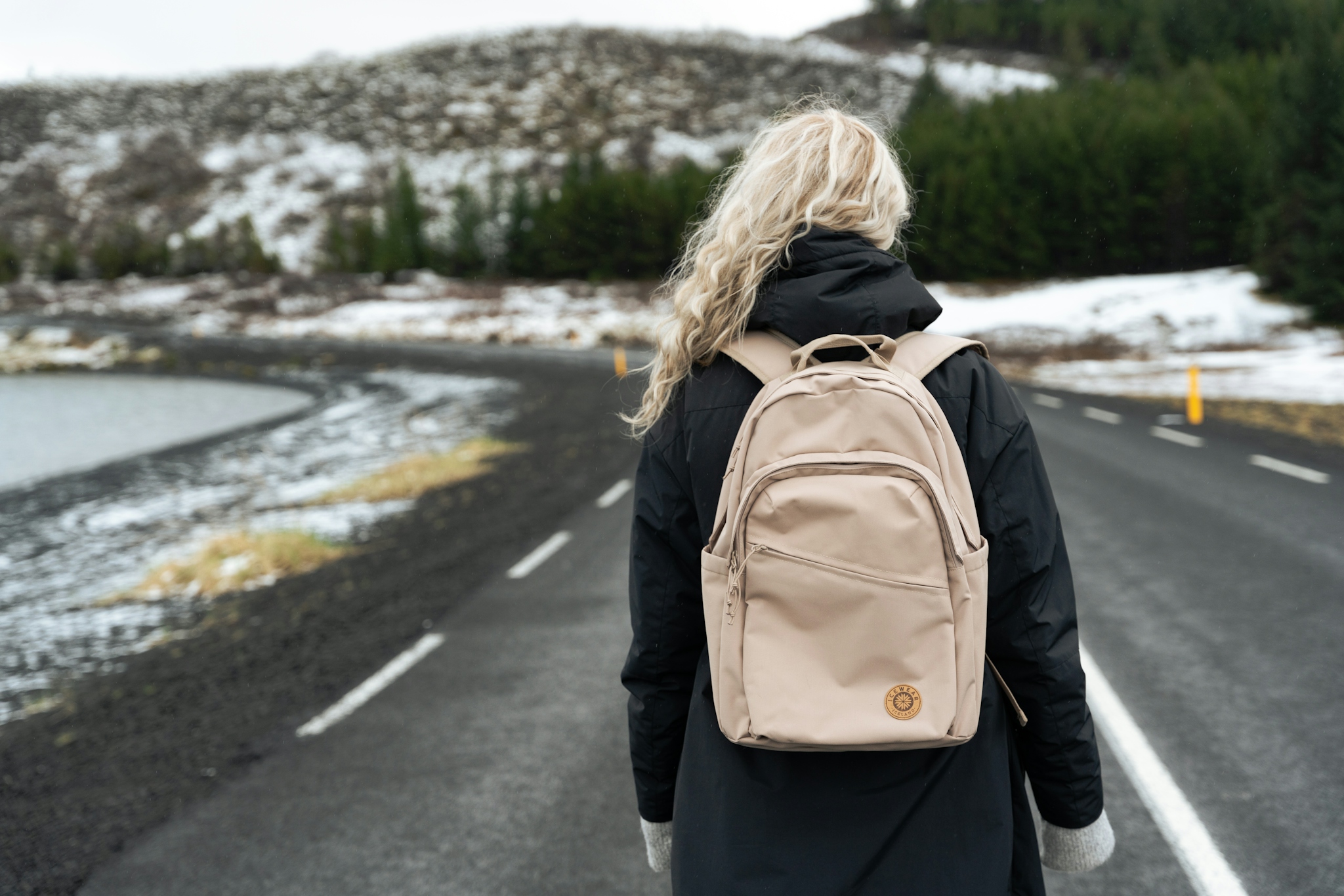 iceland-woman-bag-road-lake-35.jpeg