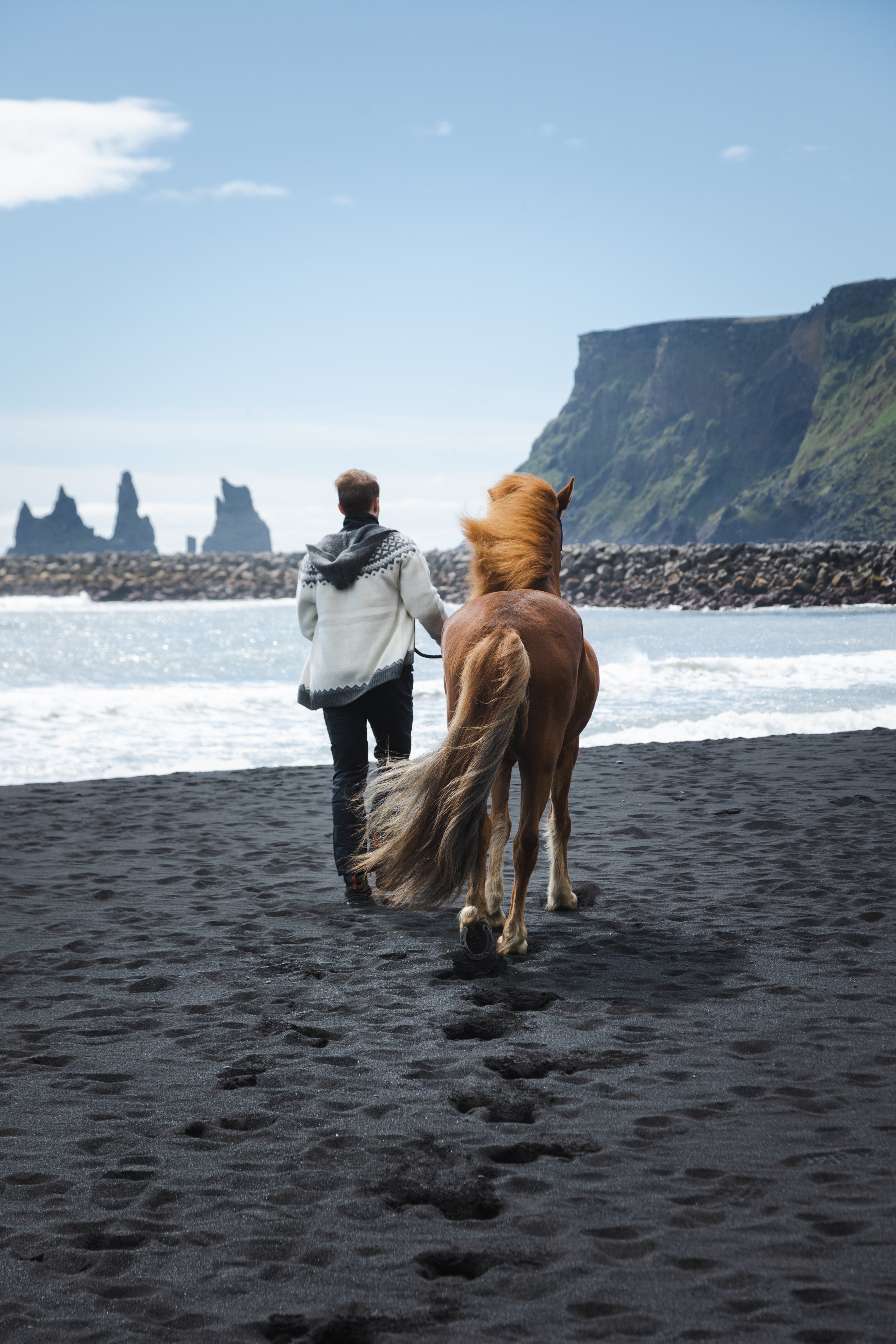 man and horse walking in black beach in Vík í Mýrdal