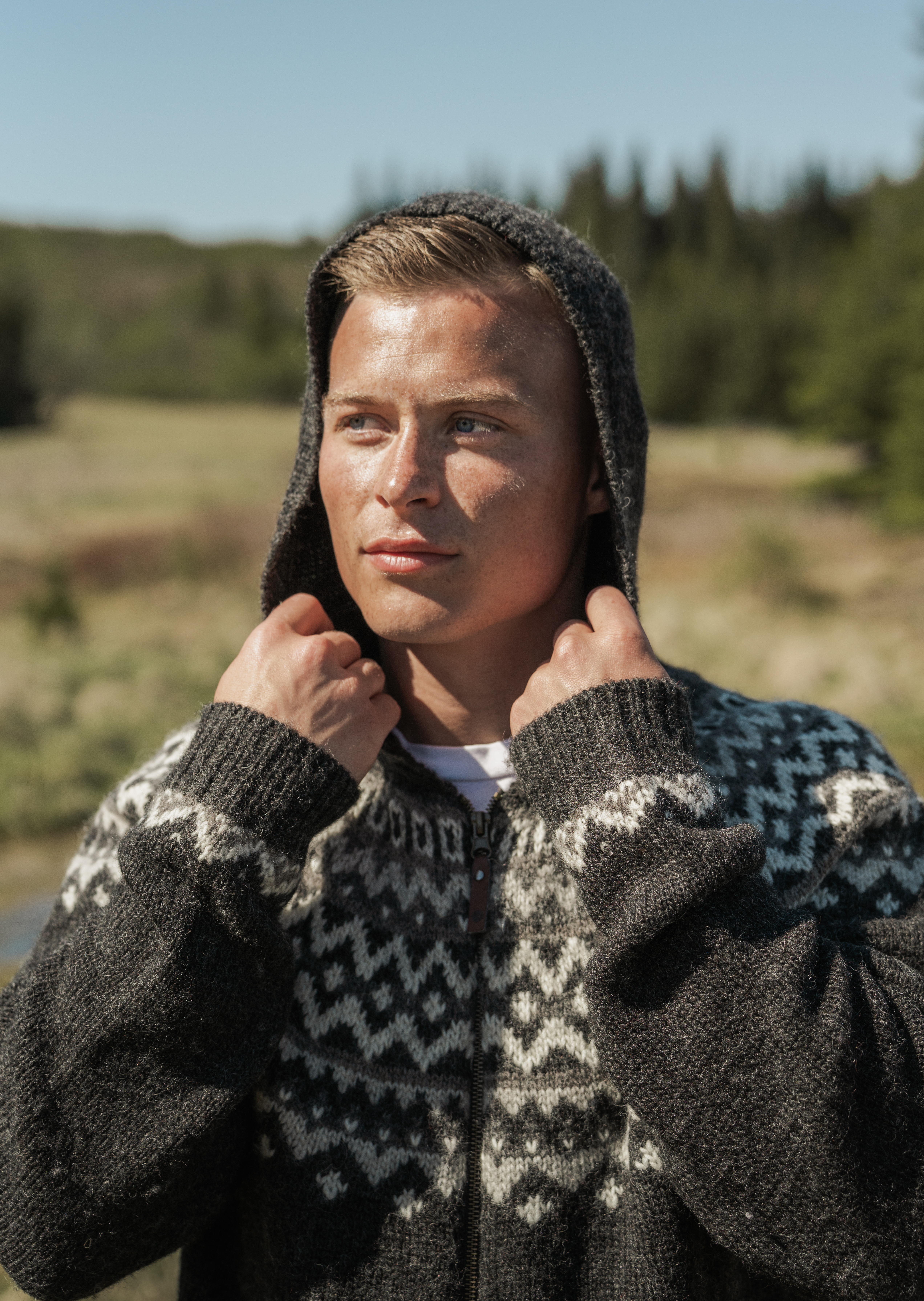 Skjaldbreiður hooded wool sweater