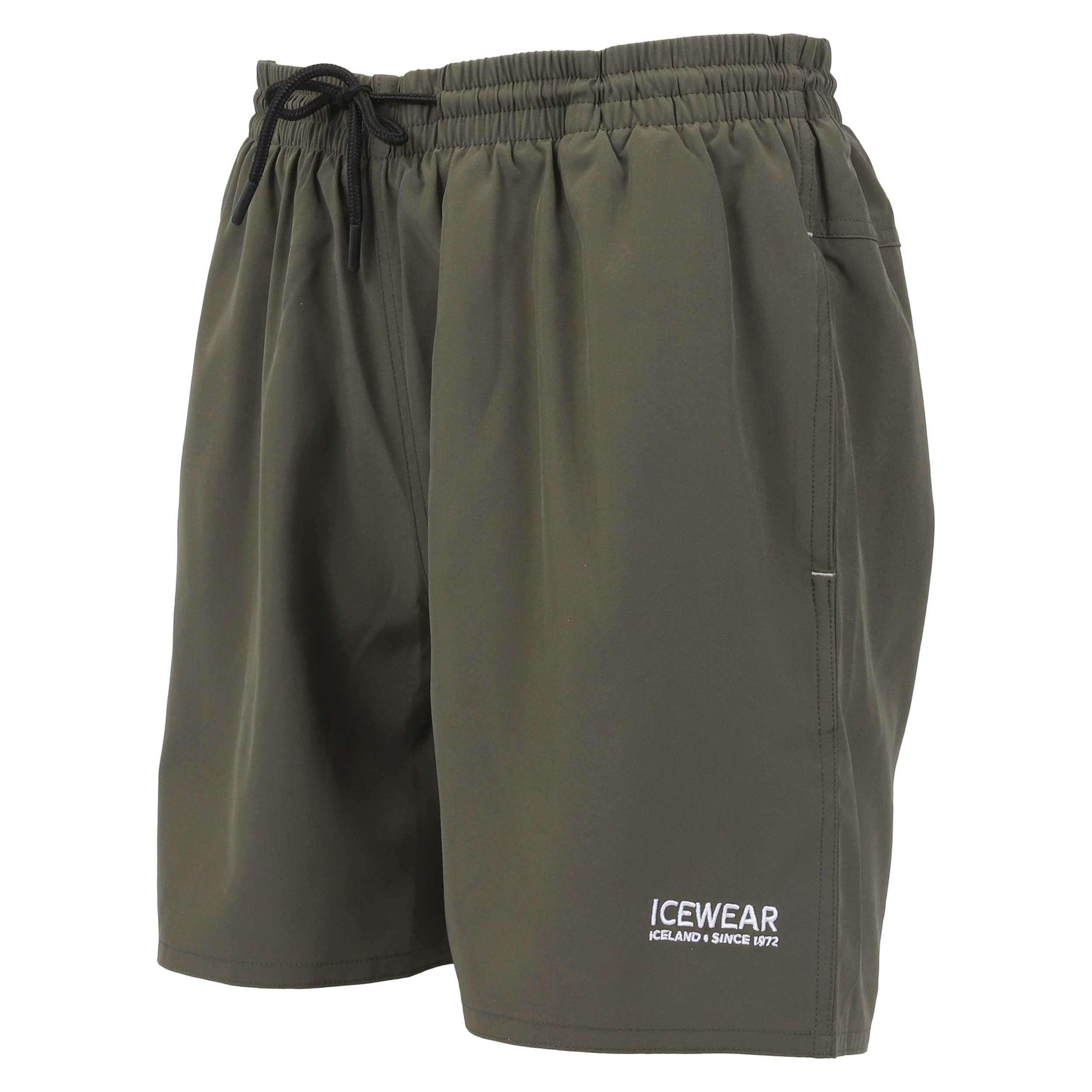 Brimir Swim Shorts